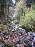 10.28.05 Devil's Rest 011 